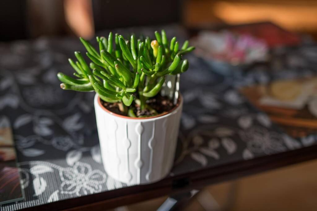 Komfortowy - Obok Rynku Apartment Krakow